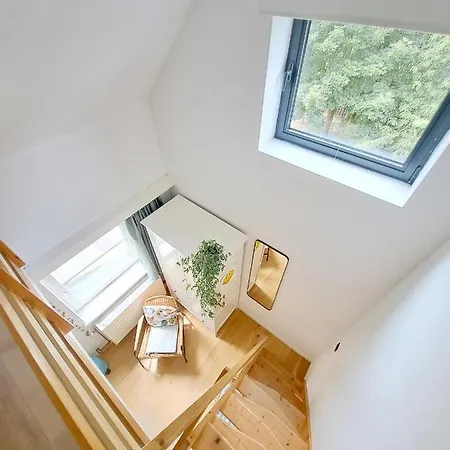 Homestay szállás Tomorrowland